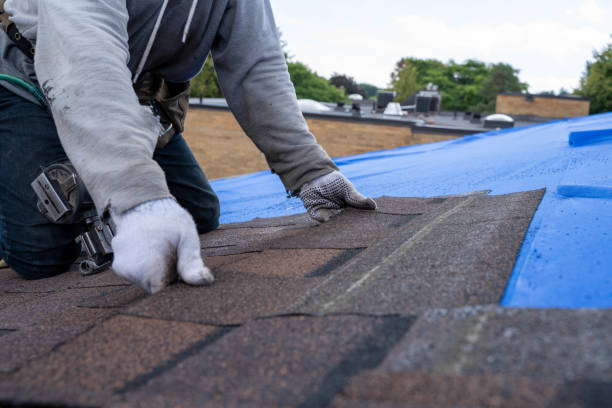Best Roof Gutter Cleaning  in Rancho Tehama Reserve, CA